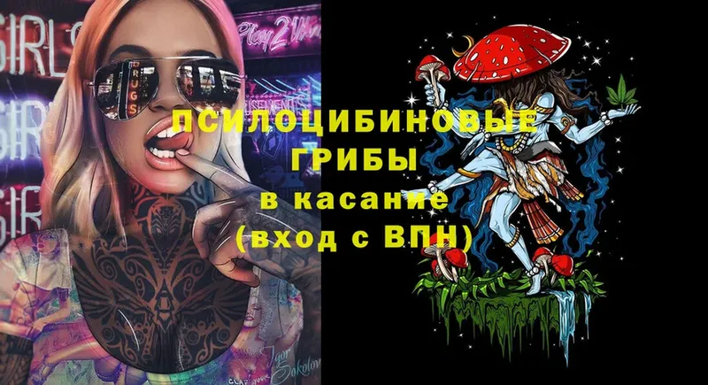 Псилоцибиновые грибы Psilocybine cubensis  сколько стоит  darknet телеграм  Калининск 